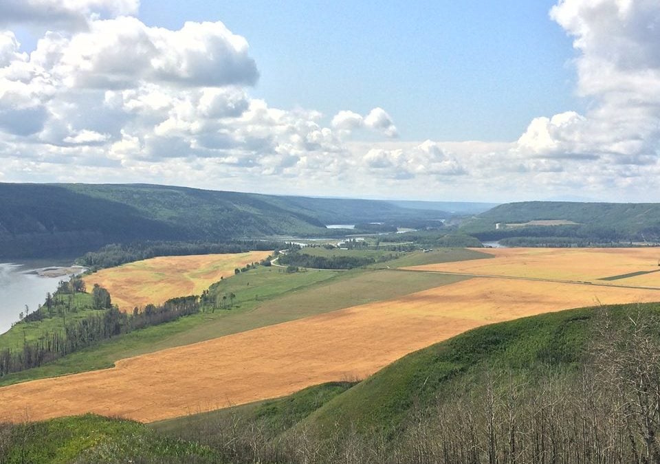 Site C